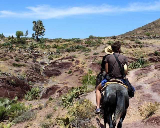 Rutas a caballo por la naturaleza